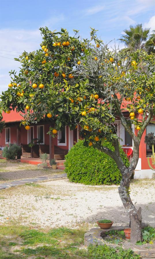 Monte Da Xica - Somente Adultos Séjour à la campagne Zambujeira do Mar